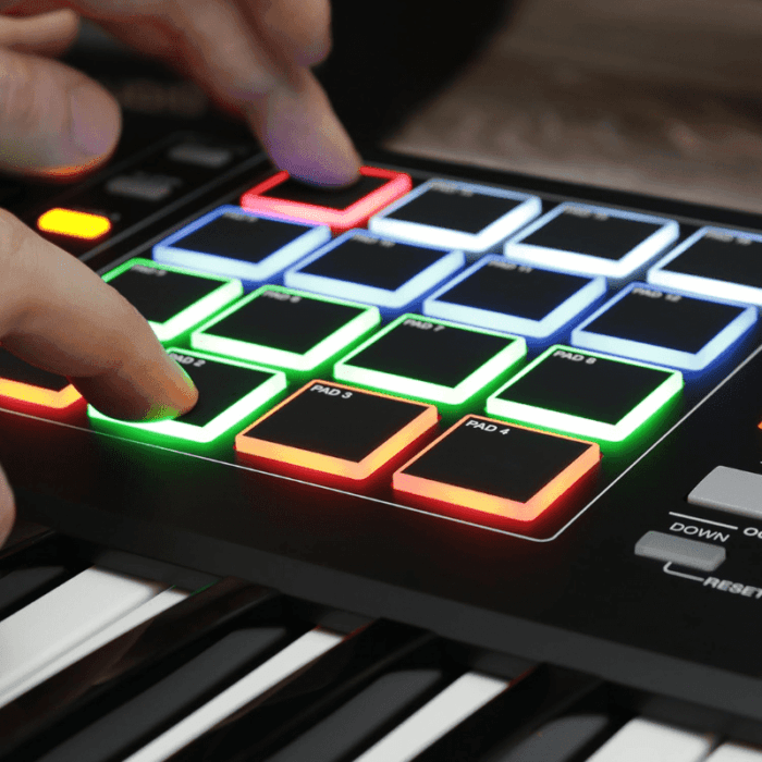 Akai Professional MPK249 |49-Key Semi-Weighted USB MIDI Keyboard Controller - Image 6